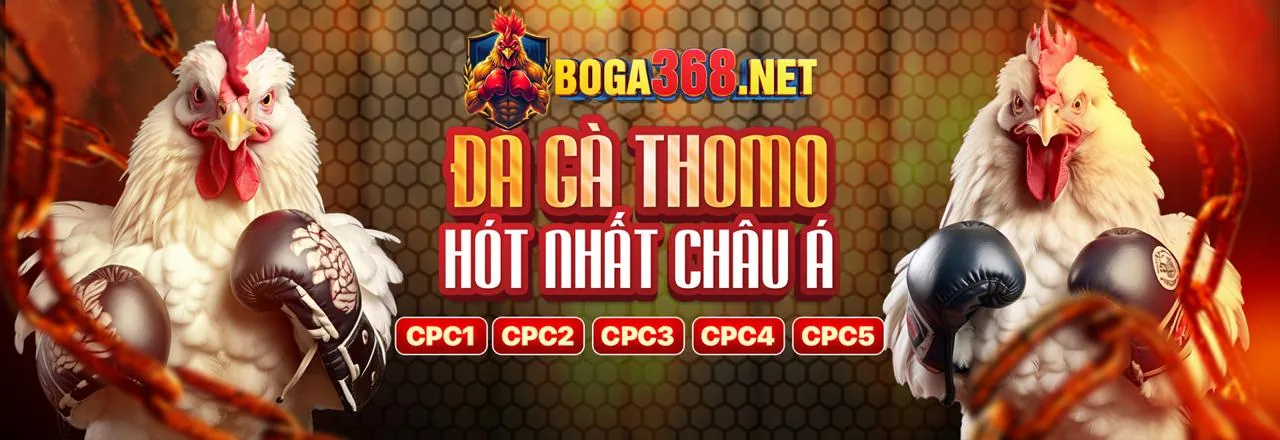 Cá cược thể thao 8kbet Nhà Cái